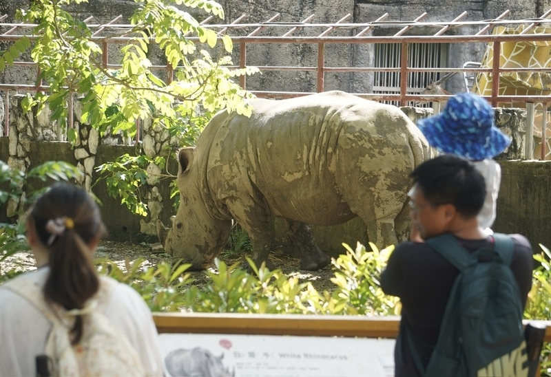 民眾在壽山動物園探訪園區裡的動物。（ 中央社記者董俊志攝 ）