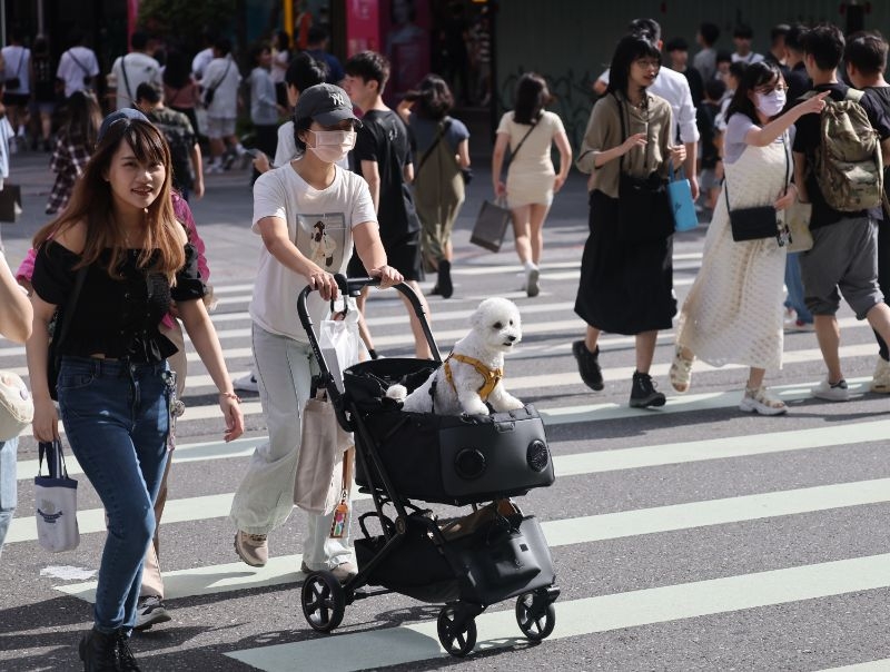 示意圖。（圖／中央社）