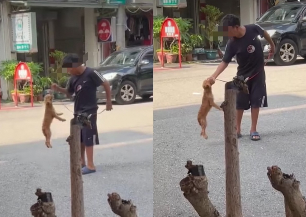 圖／合成自「虐待動物惡人整理」，因事主未成年所以馬賽克處理。