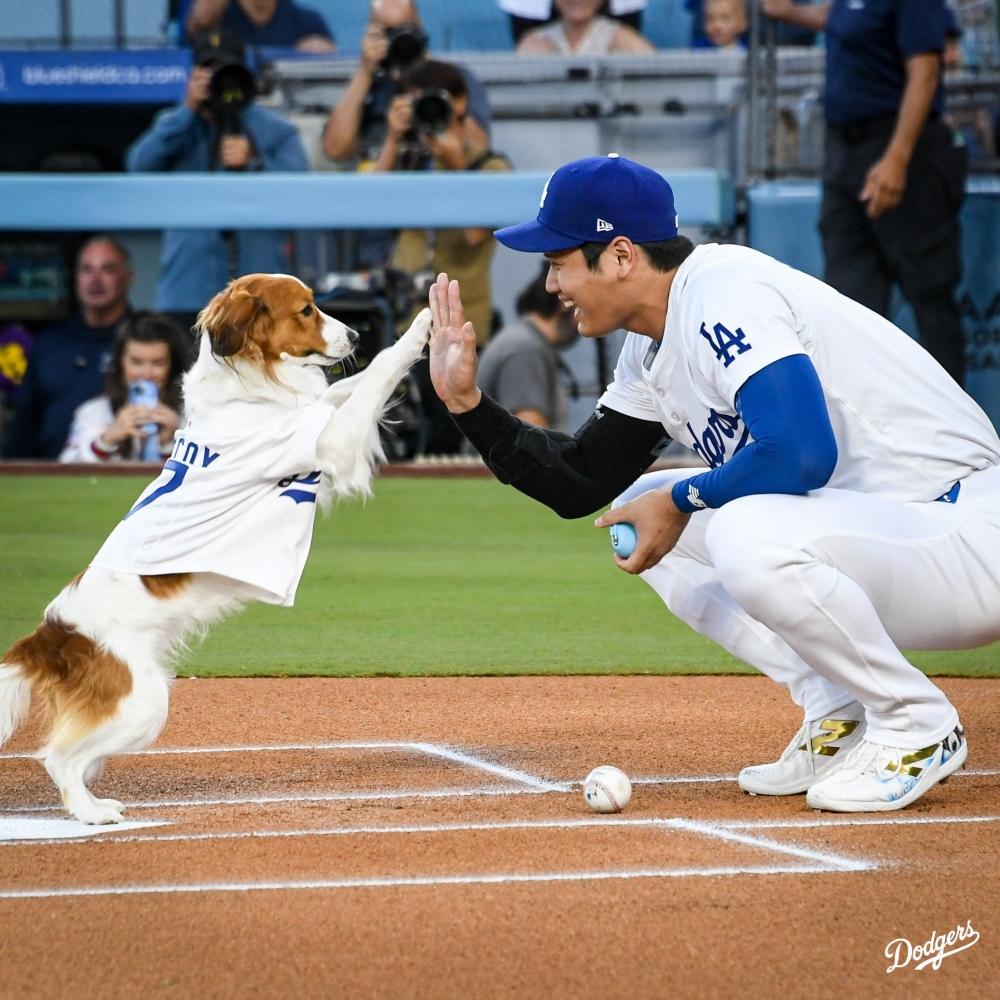 大谷翔平首局首打席全壘打，本季第42轟出爐。（圖擷取自Los Angeles Dodgers X平台）