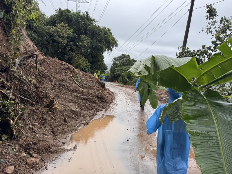 北海岸遭豪雨重創，在新北市金山區致力推動地方創生的團隊「浪金山」號召青年前往救災，一行人7日在已被掏空的產業道路內拿芭蕉樹作為路障，提醒用路人不要行駛這條路，以免發生危險。（圖源：中央社）