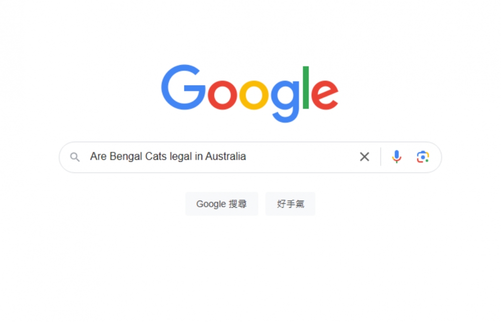 示意圖。擷取自Google。