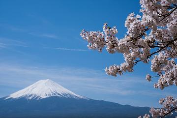 富士山遊客太多 政府為打擊「觀光公害」...7/1起實施閘門管制