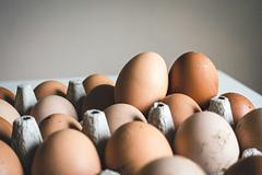雞蛋又要漲價了！春節將近用蛋暴增、中南部禽流感影響 即起調漲2元