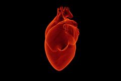 名醫晨跑突發急性心肌梗塞猝逝 醫提醒：需評估自己心臟風險