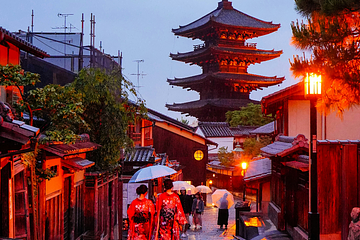 日本京都擠爆惹民怨！烏鴉大啖「垃圾自助餐」噁遊客還跟騷藝妓