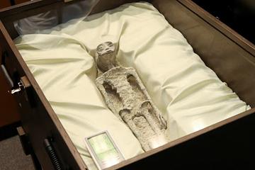 墨西哥國會公開「2具外星人屍體」 專家掛保證：千年前來到地球
