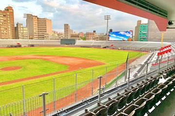 綠議員出示「公務群組」截圖 證實新竹棒球場5月採土未送美國