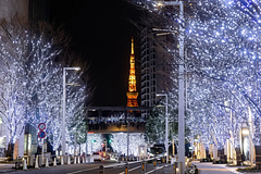 瘋日本別錯過「浪漫耶誕」雪景、溫泉、市集 還有世界最大水晶燈