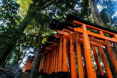 觀光客最愛去的10大神社排行 京都「千本鳥居」無懸念奪第一